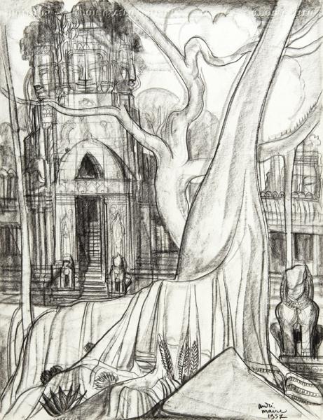 Cambodge, Angkor, Grand arbre, devant Angkor Thom, 1957