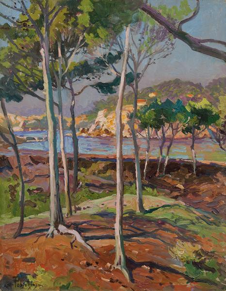 Vue sur les côtes depuis la pinède