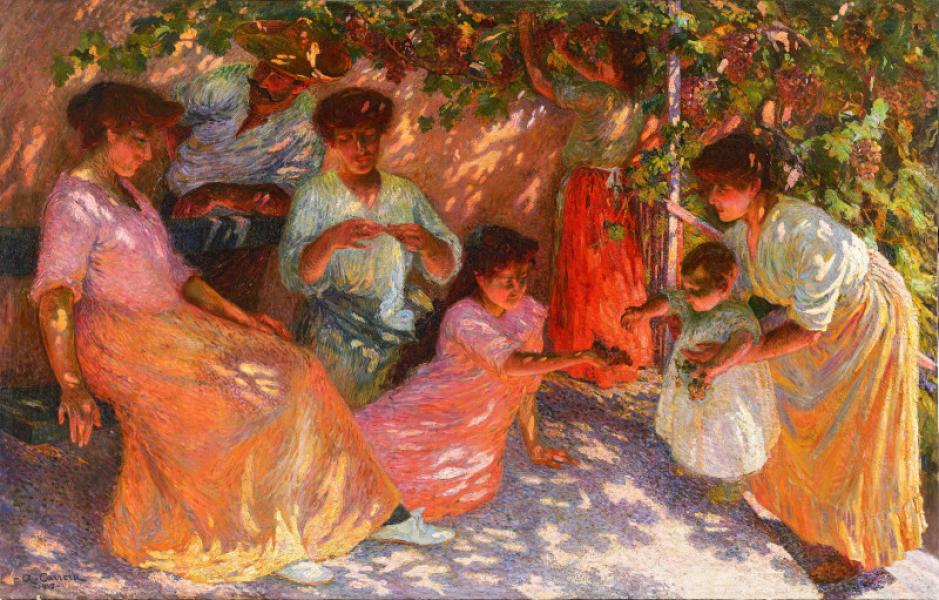 Sous la treille (Provence), 1905