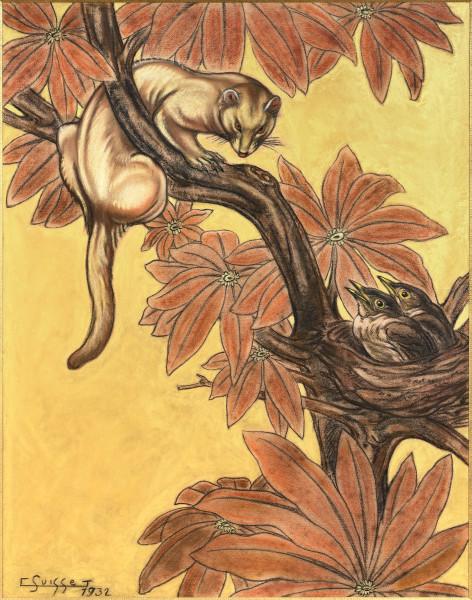 Furet et oisillons