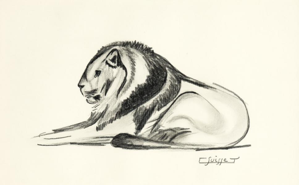 Lion couché
