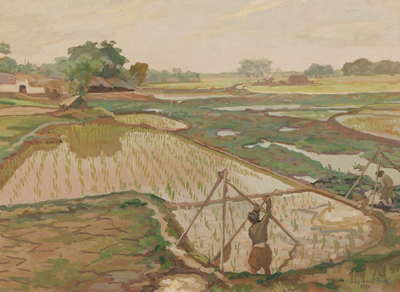Rizières (environs d'Hanoï), Tonkin français, 1930