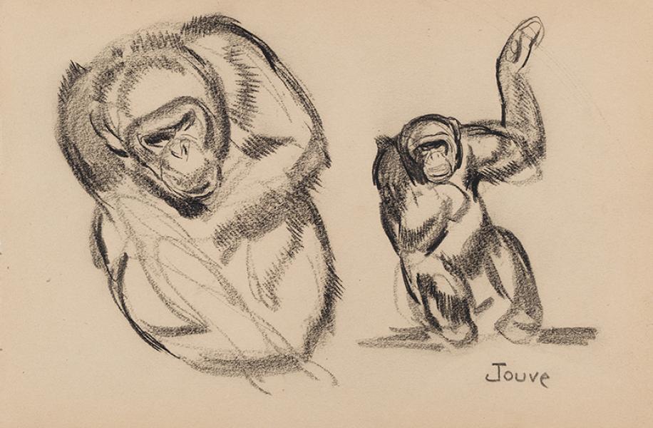 Singe, 1950