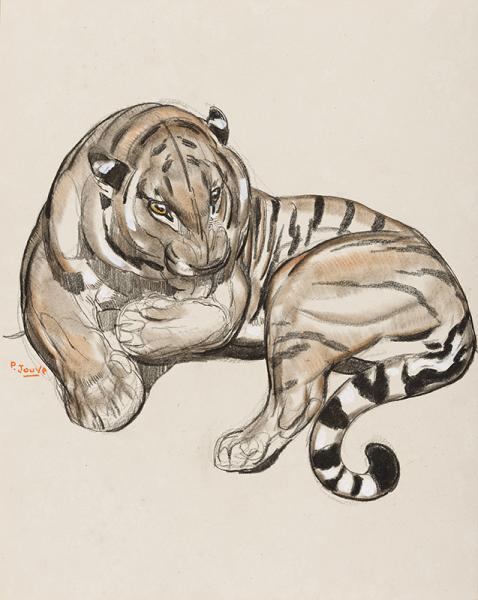 Tigre couché se léchant la patte