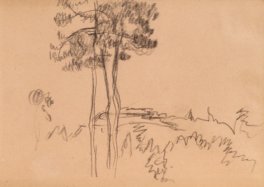 Etude de pins pour le tableau Lisière de forêt (Arcachon), 1922