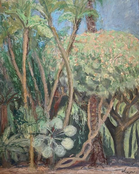 Alger, le jardin d’Essai