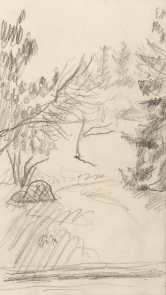 Sous bois, le Clos (Grand-Lemps), circa 1918